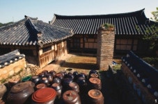 [김동률 · 권태균의 오지 기행]  동백꽃과 보리의 나라 전남 영광 용암마을