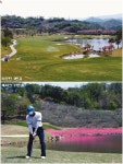 [Golf] 대호단양CC