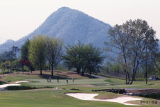 [Golf] 대호단양CC