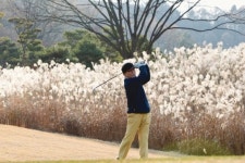 [명사와 golfing ⑤]  “성공하려면 성공하는 습관 기르세요”