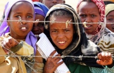 [해외 리포트] 빈 라덴만 죽이면 끝? 알카에다는 더 진화했다!