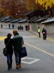 [노래가 있는 풍경] 열병처럼 지나온 젊은 날 추억은 때론 슬픔이 된다