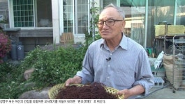[신동아-채널A 공동기획 | ‘新대동여지도’ 기적의 건강밥상]  혈당 낮추는 ‘바다 국수’ 꼬시래기 항산화 효과 뛰어난  생강나무
