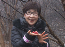 [신동아-채널A 공동기획 | ‘新대동여지도’ 기적의 건강밥상] 깊은 산속 붉은 보약 산수유, 머리 맑히는 총명탕 원료 석창포