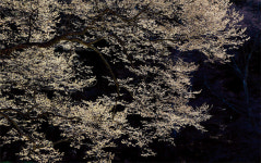 [김성남의 View] 부안