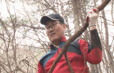 [신동아-채널A 공동기획 | ‘新대동여지도’ 기적의 건강밥상] 소나무 휘감은 약초 송담, 중국 황제 보양식 당나귀