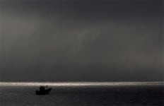 [김성남의 View] 강릉 솔향에 취하다