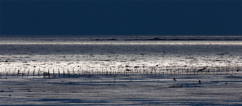 [김성남의 View] 서천에 보석이 숨었다