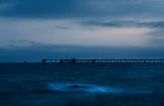 [김성남의 View] 서천에 보석이 숨었다