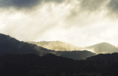 [김성남의 View] 서천에 보석이 숨었다