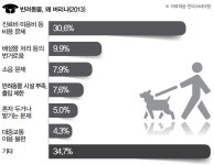[현장취재] 사람에게 버림받고 사람 위해 사는 犬生