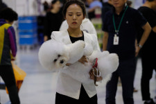 [포토] 세상에 사랑스럽지 않은 개는 없다