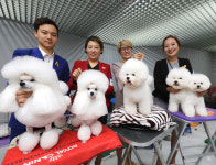 [포토] 세상에 사랑스럽지 않은 개는 없다