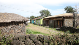 “엄마, 화장실에 돼지가 살아요” 농가에서 숙식하며 문화 속으로...