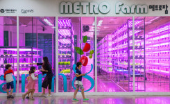 [렌즈로 본 세상] 도시로 들어온 농장 ‘스마트팜’