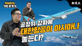 공정위 강짜에 대한항공 아시아나 놓는다?