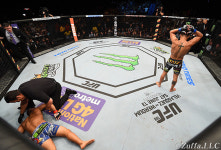 피니시율↑·경기시간↓…UFC, 옥타곤 축소에 일어난 변화