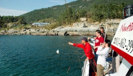 [여행]스파ㆍ낚시ㆍ골프ㆍ休~황홀한 남해 24時