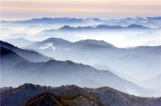 [여행]봄, 더디 오소서 이땅에도 꽃은 충분합니다