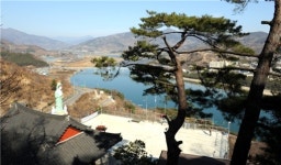 [여행]섬진강 매화향 따라 봄 손님 오시네