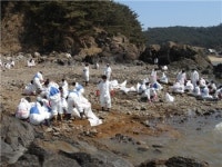 한국폴리텍대학 우리 새터는 태안서 봉사활동