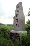 [여행] 회산백련지 진흙세상 蓮바다, 깨달음의 燈 켜다