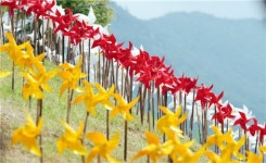 [주말여행] 천년의 신비가 손짓한다