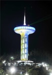[주말여행] 완도 일출공원, 매일밤 아름다운 세상이 열린다