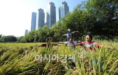 [포토뉴스] 가을이 즐거운 동심