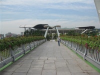 꽃이 있는 도로…가을 정취 ‘물씬’