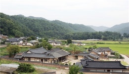 경북 주실 마을숲, 가장 아름다운 숲 선정