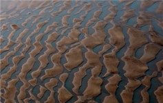 [주말여행]하늘과 바닷길이 열리는 송이도