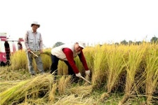 이기수 총장 글로벌 대학 사회봉사 앞장서야