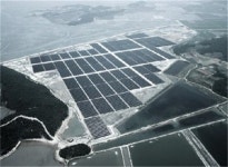 세계 최대 태양광발전소 신안에 우뚝