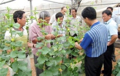 [블루오션 현장을 찾아서] 영암 도포농협