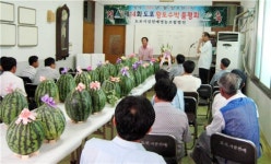 [블루오션 현장을 찾아서] 영암 도포농협