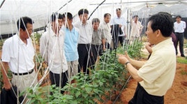 [블루오션 현장을 찾아서] 영암 도포농협