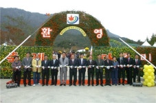 은은한 국화 향기에 취해 보세요