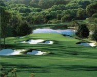 격전의 무대 오스타골프장