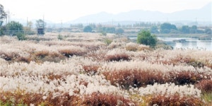 [남도여행] 만추의 계절, 도심 속 가을 유혹