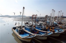 [남도여행] 곰삭은 고향의 맛..설도 젓갈시장