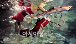 [포토뉴스] 수중 산타 보려오세요