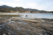 [여행]쿵ㆍ쿵ㆍ쿵 공룡 발자국 足足 1억년 세월 足足