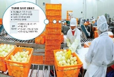 [일자리를 만듭시다] 맞춤식 특산물 브랜드 안성마춤