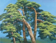 [포토뉴스]이동찬 코오롱 명예회장 대지의 노래