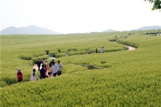 [남도여행] 남도 3色 축제에 빠지다