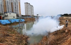 명품 수완지구 날벌레와 전쟁중