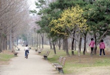 [서울서울인] 출입구만 16곳 서울숲 100배 즐기기