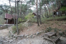 나른한 오후에서 벗어나자...초록샤워