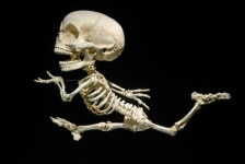 한국현대미술도 한국을 알리는 좋은 소재입니다